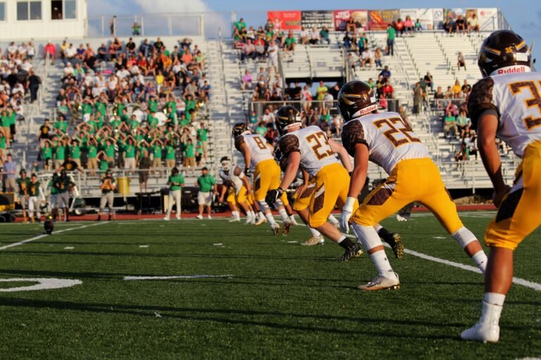 Sports stadium for 2025 sports stocks analysis