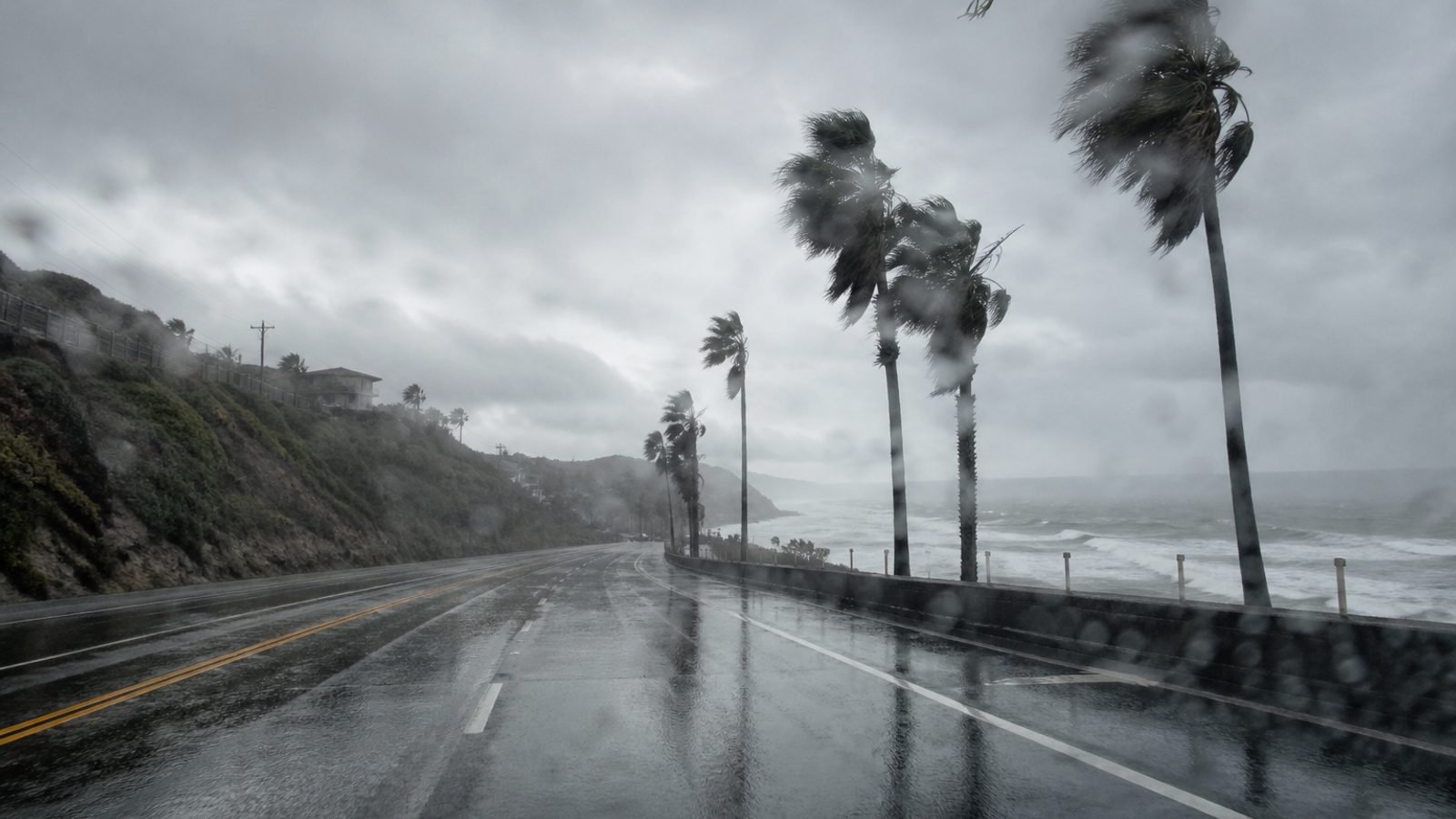 Wet Southern California coastal highway and palms in Sunday rain