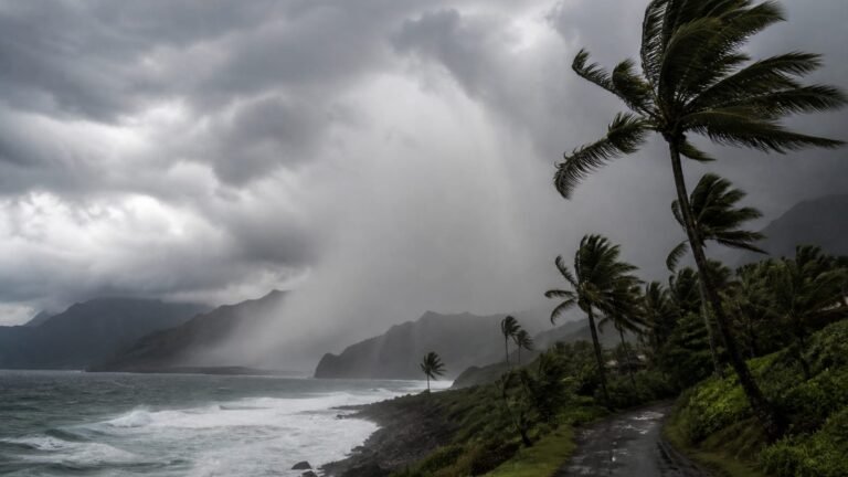 wp-5101-kauai-core.jpg