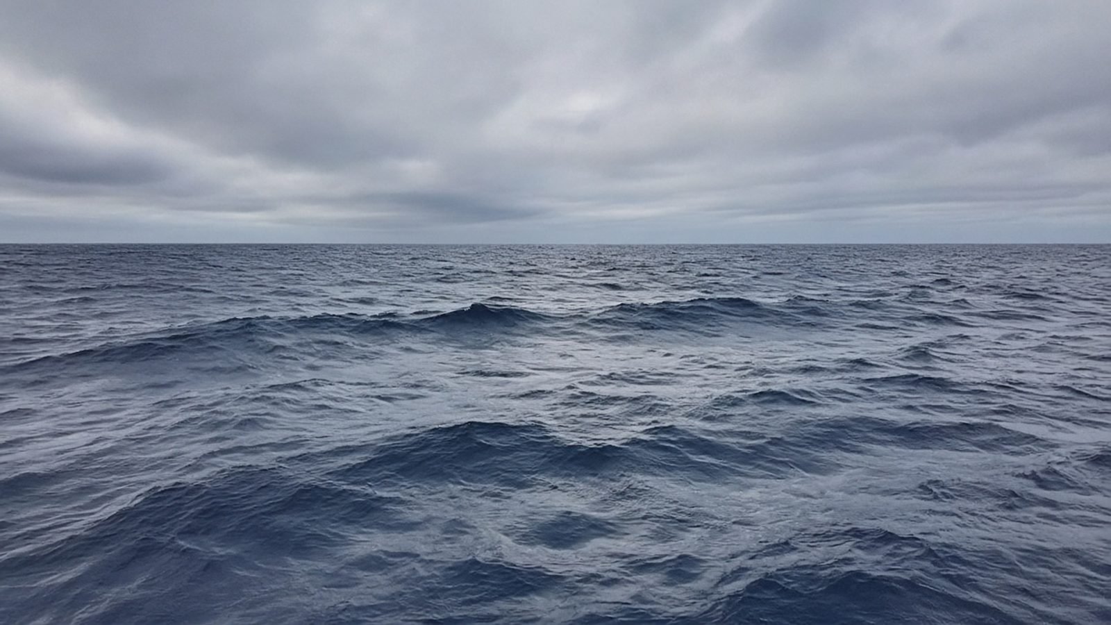 Open Pacific swell under overcast morning light