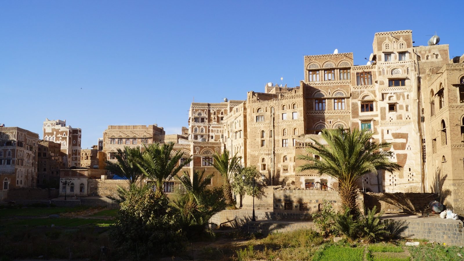 Tower houses in the Old City of Sanaa, Yemen, with white plaster window frames and palm trees. Photograph by Julian-G. Albert, CC BY.